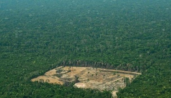 아마존 열대 우림 파괴