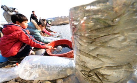 올해 봄 연어 치어 방류행사에 참가한 어린이들이 연어가 다시 태화강을 찾아오기를 기원하며 방류하고 있다.