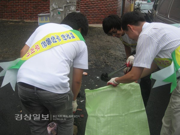 청소년 환경봉사단 '하얀 지우개' 회원들이 지난 7일 울산시 중구 우정동 지역을 돌며 쓰레기를 수거하고 있다.
