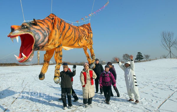 3일 오후 서울 상암동 노을공원을 찾은 시민들이 비상하는 대형 호랑이연을 지켜보고 있다. 이번 연날리기 행사는 호랑이해를 맞아 한국연협회(회장 리기태) 주최로 열렸다      /연합뉴스