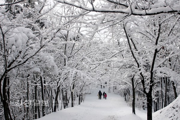 올해 겨울 들어 가장 추운 날씨를 보인 6일 충남 중부지역의 명산인 청양군 칠갑산(561m)에 눈꽃이 피어 장관을 이루고 있다.      /연합뉴스
