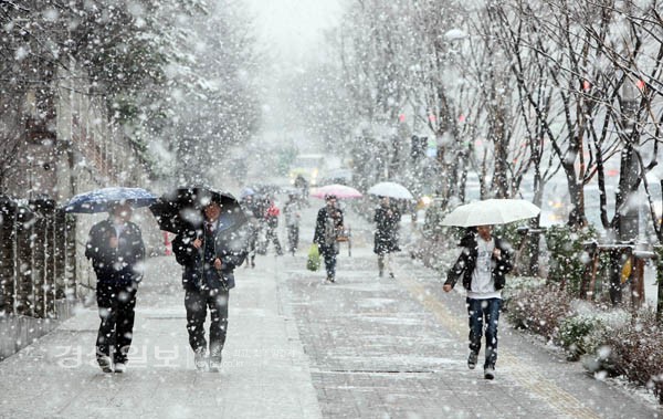 22일 오후 비가 예보된 가운데 갑작스런 함박눈이 서울에 쏟아지자 강남일대에서 시민들이 눈을 피해 걸음을 재촉하고 있다.          /연합뉴스