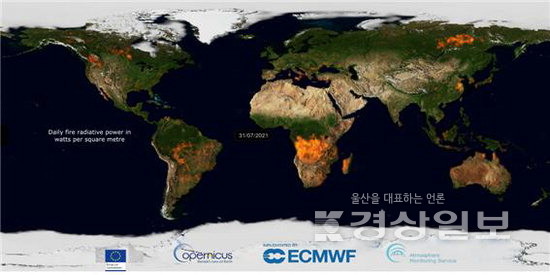 ▲ 2021년 7월31일 전지구 산불 발생 현황(유럽중기예측소 코페르니쿠스 대기감시서비스).