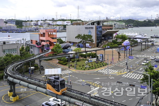 ▲ 고래문화특구