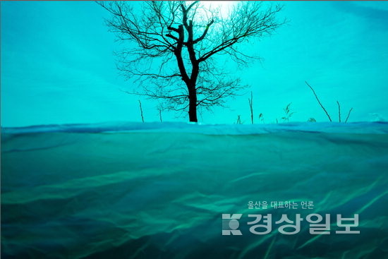 ▲ 권일 ‘야성의 문장’ 시리즈