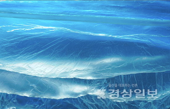 ▲ 권일 ‘야성의 문장’ 시리즈