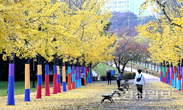 휴일인 15일 울산체육공원 은행나무길이 노랗게 물들어 깊어가는 가을정취를 전해주고 있다. 김경우기자 woo@ksilbo.co.kr