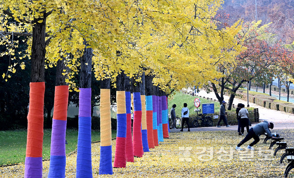휴일인 15일 울산체육공원 은행나무길이 노랗게 물들어 깊어가는 가을정취를 전해주고 있다. 김경우기자 woo@ksilbo.co.kr