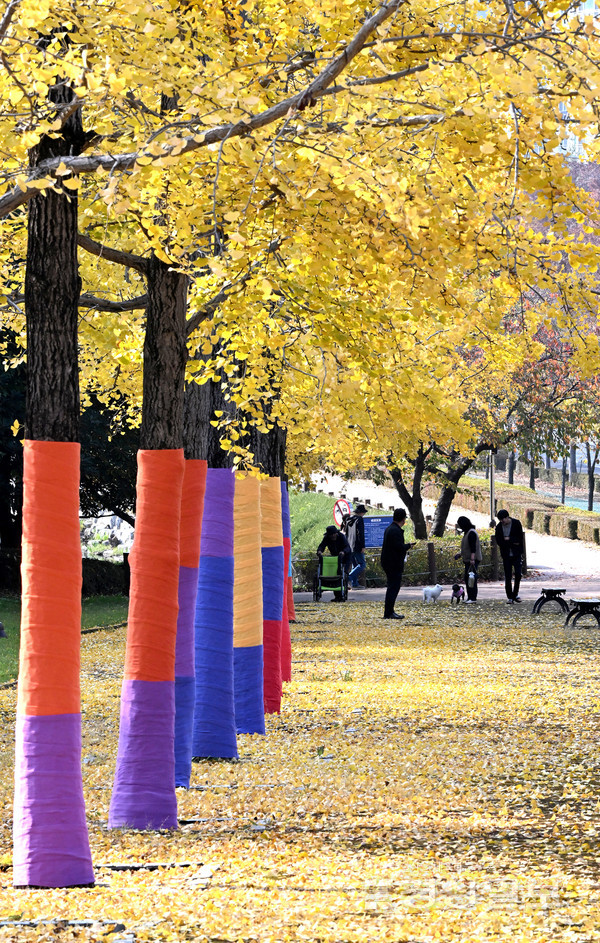 휴일인 15일 울산체육공원 은행나무길이 노랗게 물들어 깊어가는 가을정취를 전해주고 있다. 김경우기자 woo@ksilbo.co.kr