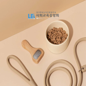 사회교육중앙회, 애견미용 및 펫페어 관련 '무료수강' 반려동물미용관... - 뉴스 썸네일 이미지